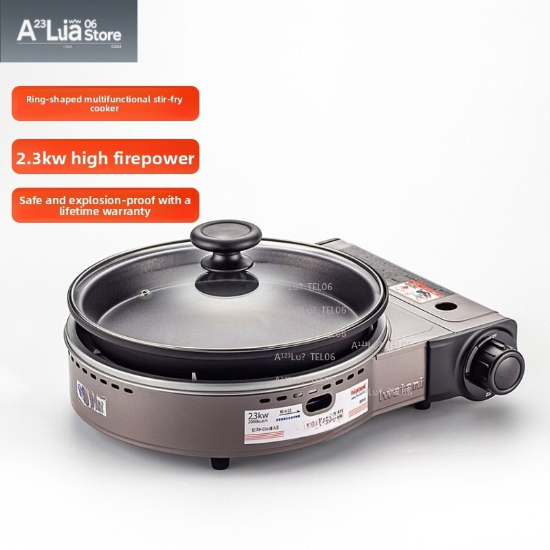Portable Windproof Gas Stove B - Camping Cooking Stove recension och pris